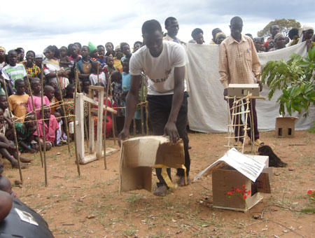 Extensive Health youth Resolve